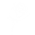 white-rose-icon-